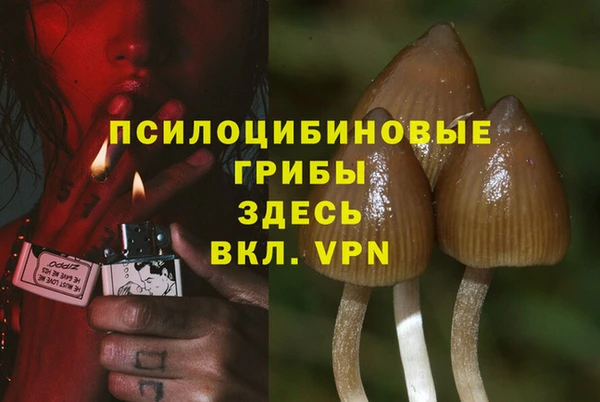 бошки Бугульма