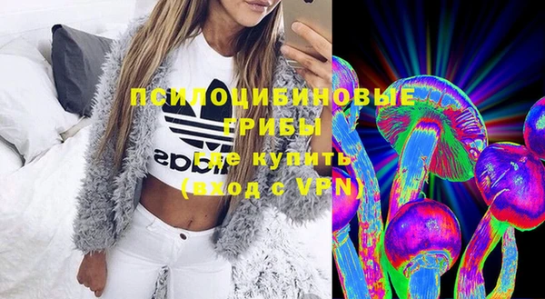 СК Верхний Тагил