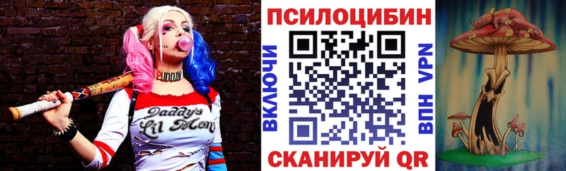 нарко площадка телеграм Омск Псилоцибиновые грибы Psilocybe купить наркоту